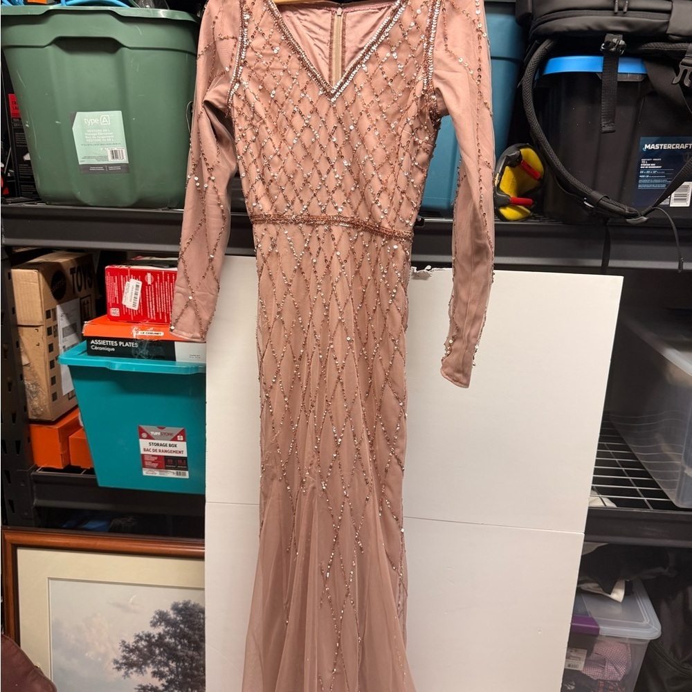 Adrianna Papell Rose Blush Beaded Long Sleeve Evening Gown - Picture 3 of 5